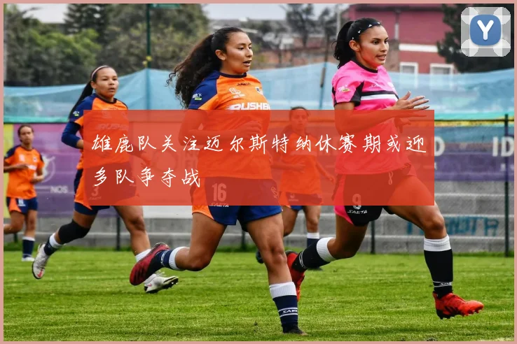 雄鹿队关注迈尔斯特纳休赛期或迎多队争夺战