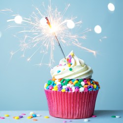 birthday-cupcake-boxes-large